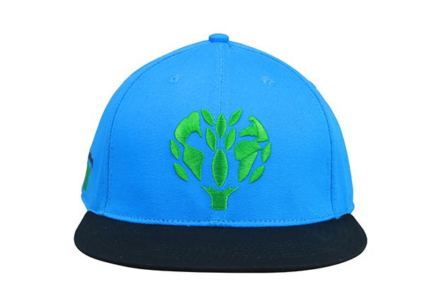 Black and Blue Snapback Two Tone Flat Embroidered Hat For Men & Women