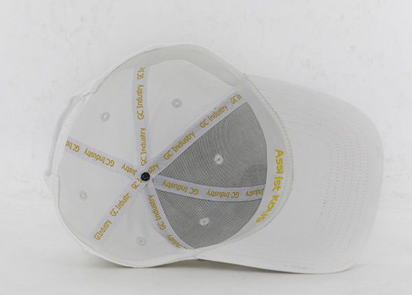 Inside of White Bent Curved Brim Snapback