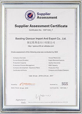 SGS Certificate