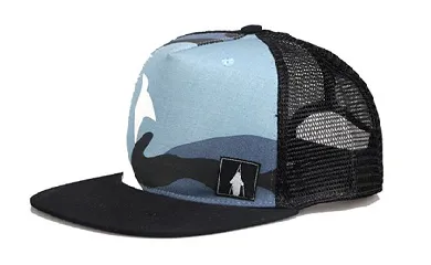 Snapback or Baseball Cap for Casual Daily Wear