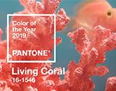 Color of the Year 2019--Living Coral (Pantone16-1546)